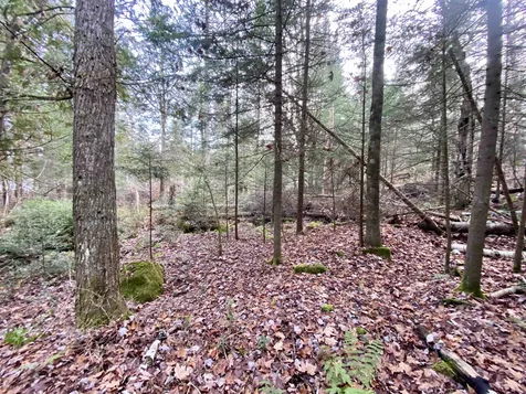 Off Fish Pond Road Columbia NH 03576