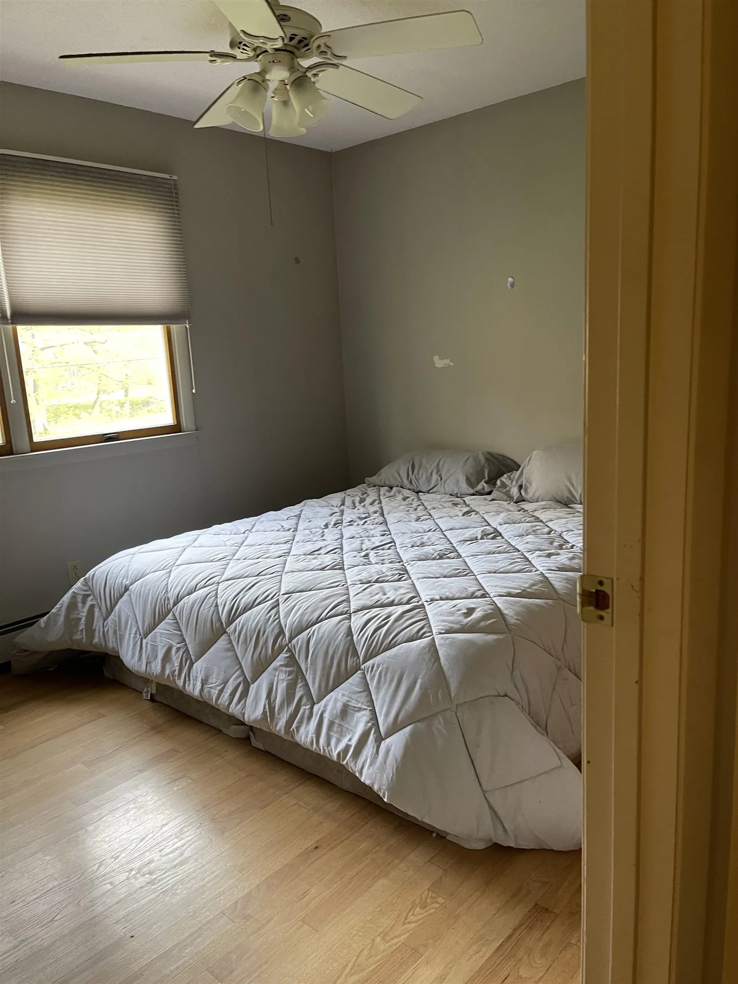 1043 Hardscrabble Road Bristol VT 05443