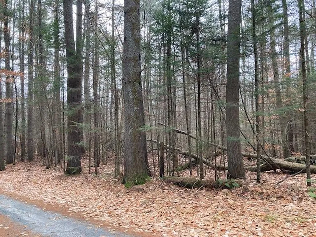 Blueberry Woods Drive Canaan NH 03741