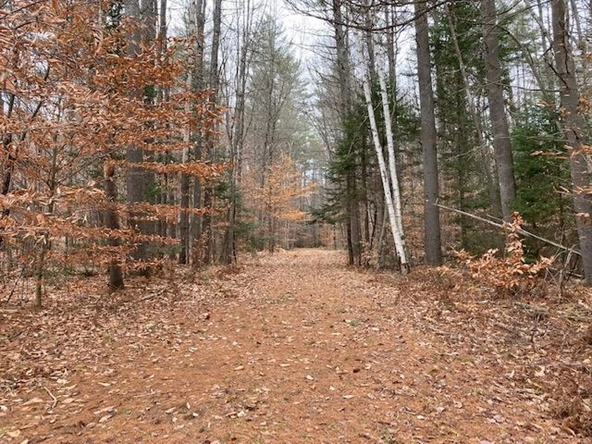 Blueberry Woods Drive Canaan NH 03741