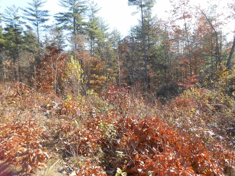 143 Dorrs Corner Road Ossipee NH 03814