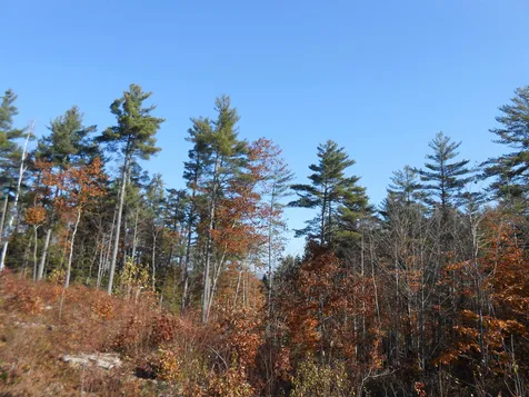 143 Dorrs Corner Road Ossipee NH 03814