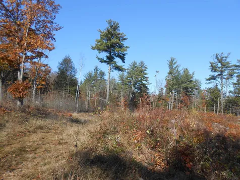 143 Dorrs Corner Road Ossipee NH 03814