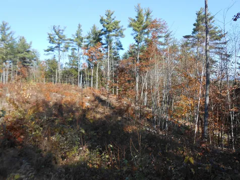 143 Dorrs Corner Road Ossipee NH 03814