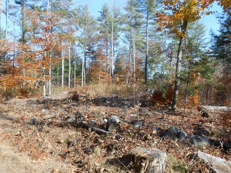143 Dorrs Corner Road Ossipee NH 03814