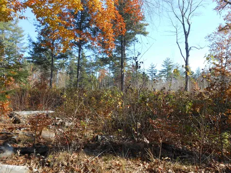 143 Dorrs Corner Road Ossipee NH 03814