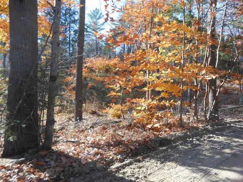143 Dorrs Corner Road Ossipee NH 03814