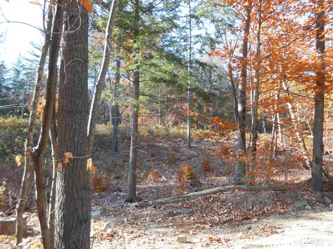 143 Dorrs Corner Road Ossipee NH 03814