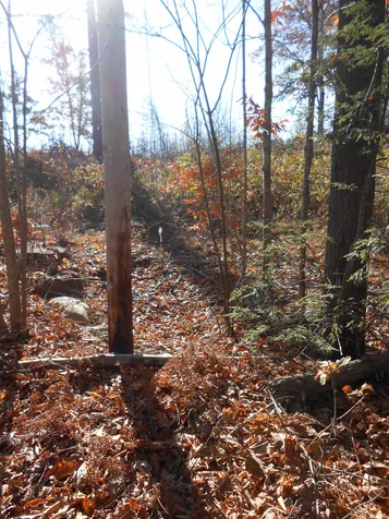 143 Dorrs Corner Road Ossipee NH 03814