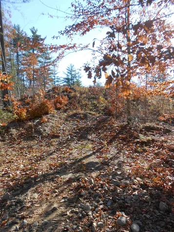 143 Dorrs Corner Road Ossipee NH 03814