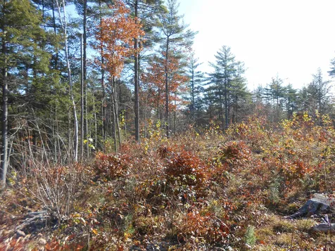 143 Dorrs Corner Road Ossipee NH 03814