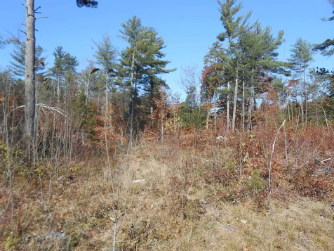 143 Dorrs Corner Road Ossipee NH 03814