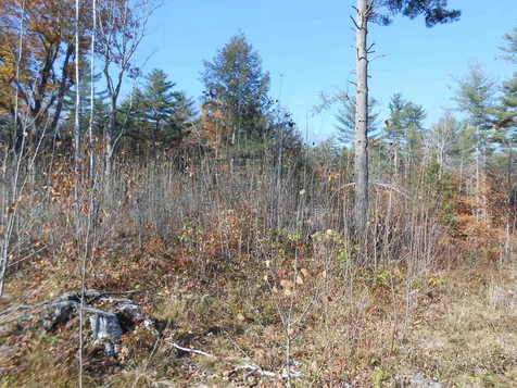 143 Dorrs Corner Road Ossipee NH 03814