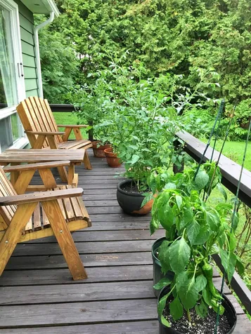 464 Black River Road Craftsbury VT 05826