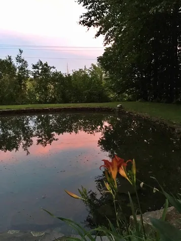 464 Black River Road Craftsbury VT 05826