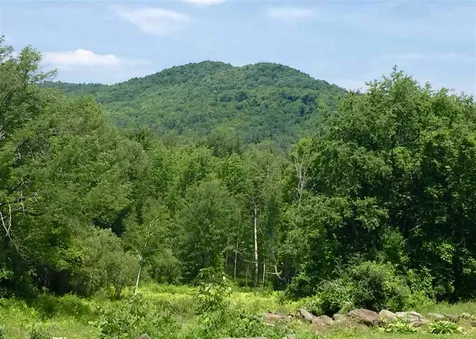 982 Town Hill Road Reading VT 05062