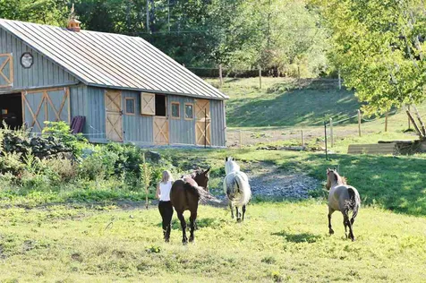 982 Town Hill Road Reading VT 05062