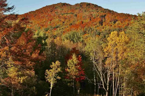982 Town Hill Road Reading VT 05062