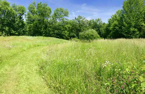 982 Town Hill Road Reading VT 05062