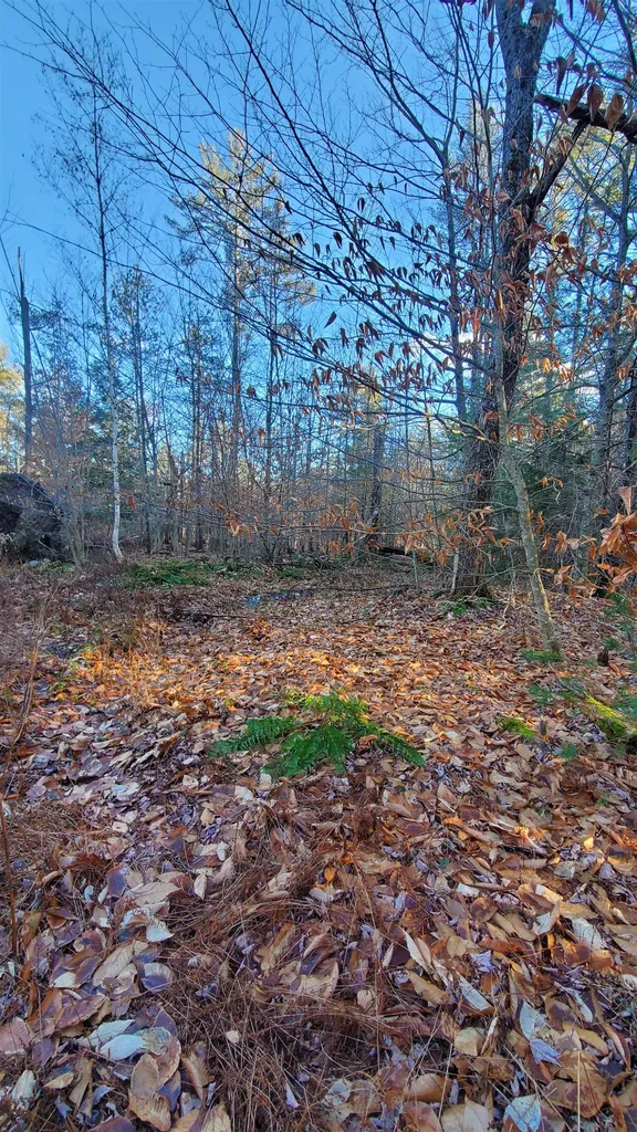 1481 Flamstead Road Chester VT 05143