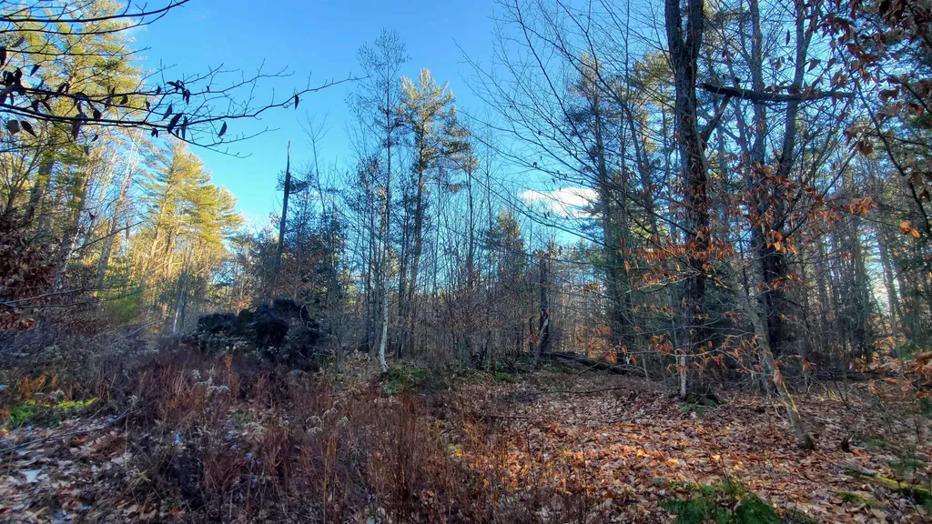 1481 Flamstead Road Chester VT 05143