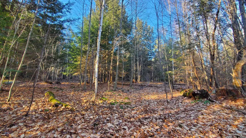 1481 Flamstead Road Chester VT 05143