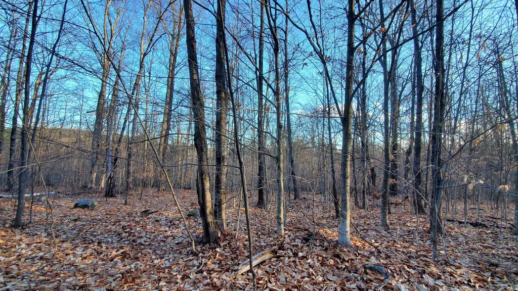 1481 Flamstead Road Chester VT 05143