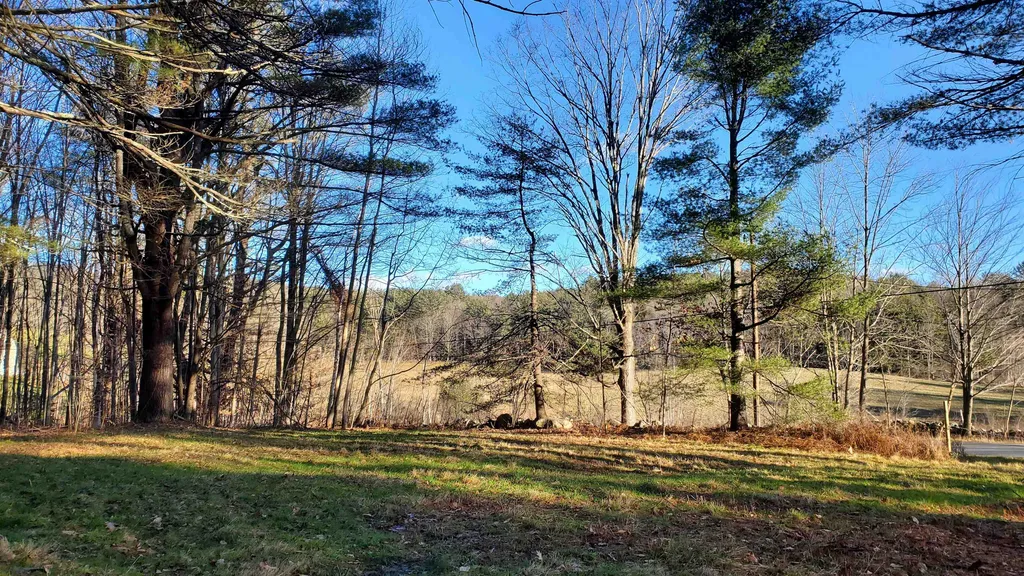 1481 Flamstead Road Chester VT 05143