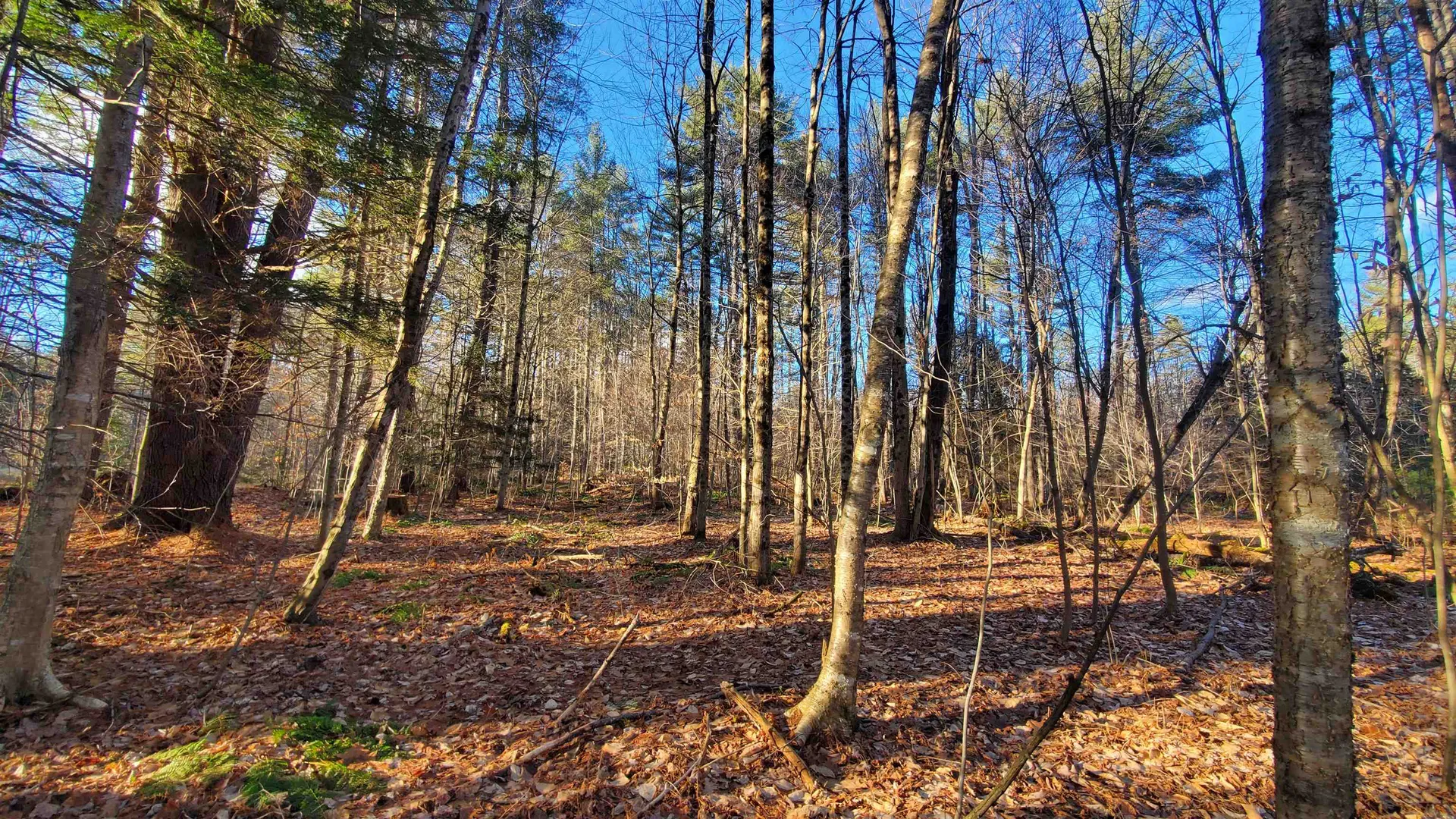 1481 Flamstead Road Chester VT 05143