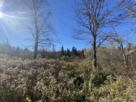 143 Sawyer Hill Road Mount Holly VT 05758