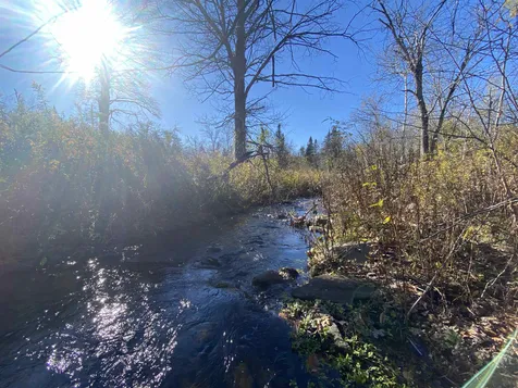 143 Sawyer Hill Road Mount Holly VT 05758