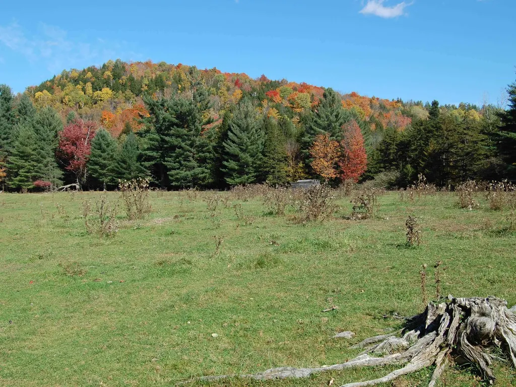 6319 Main Street Waitsfield VT 05673