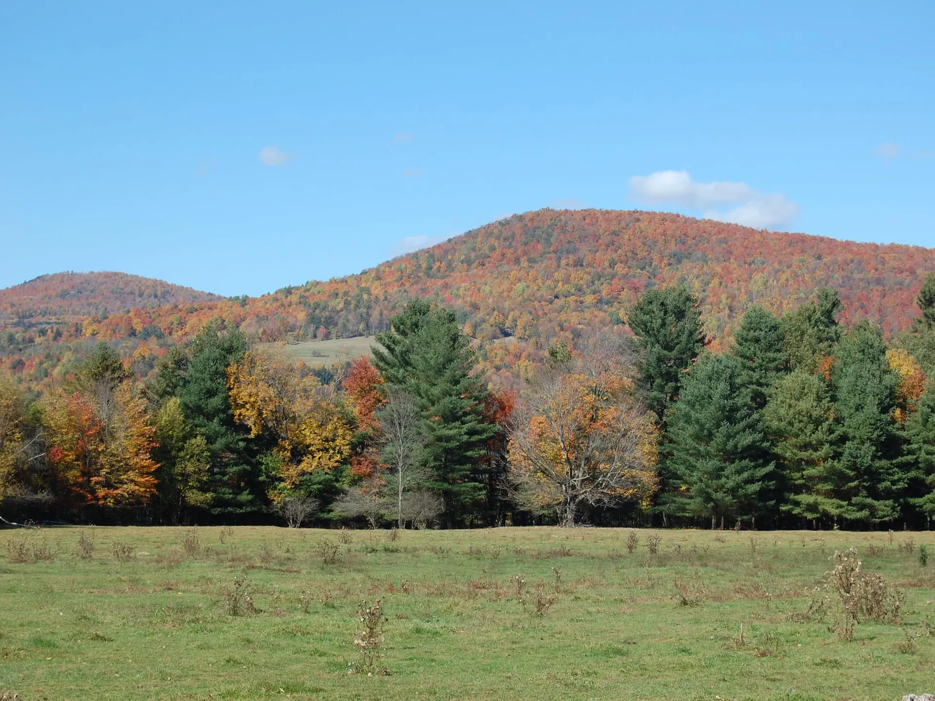 6319 Main Street Waitsfield VT 05673