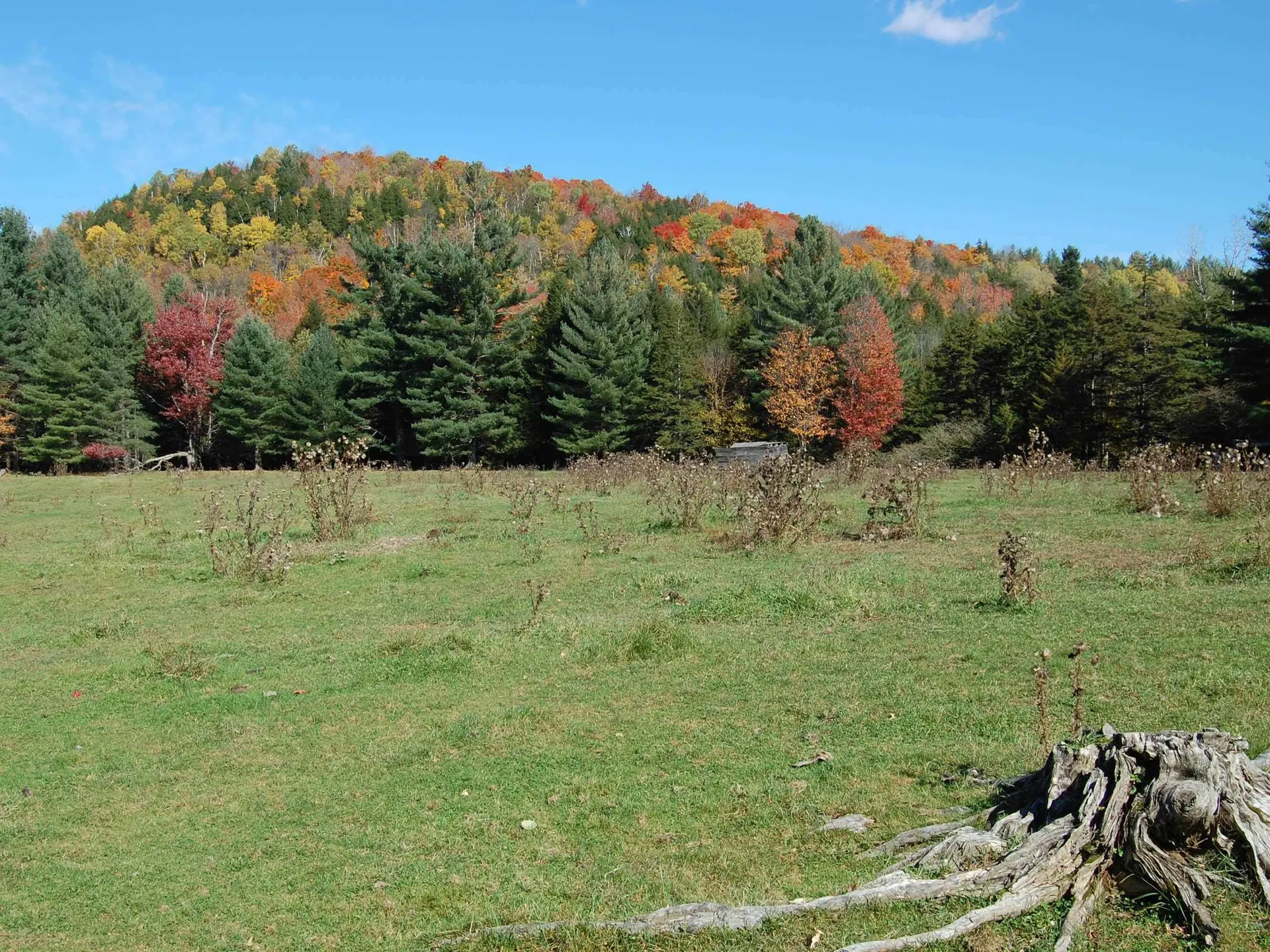 6319 Main Street Waitsfield VT 05673