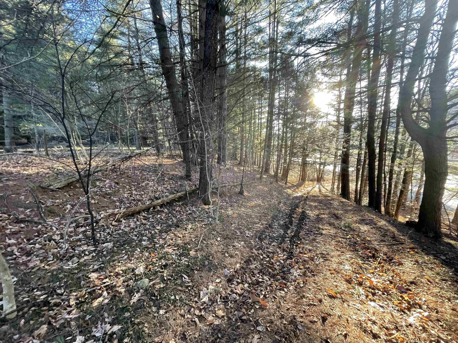 6319 Main Street Waitsfield VT 05673