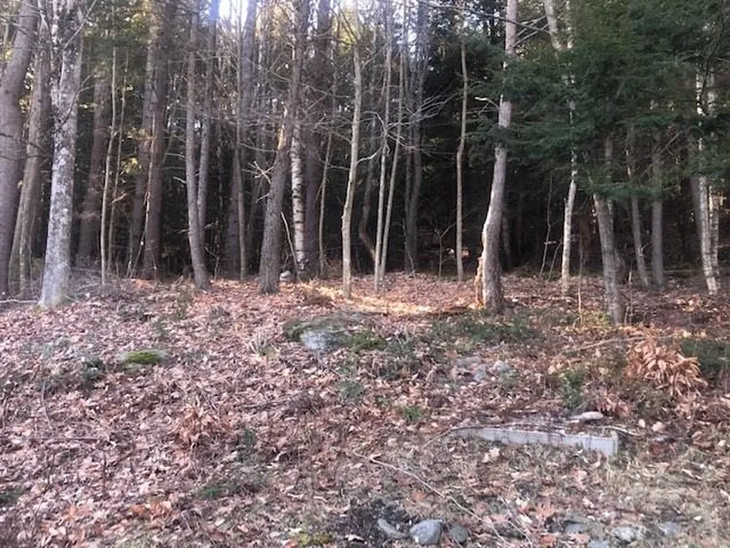 574 Willard Road Hartford VT 05059
