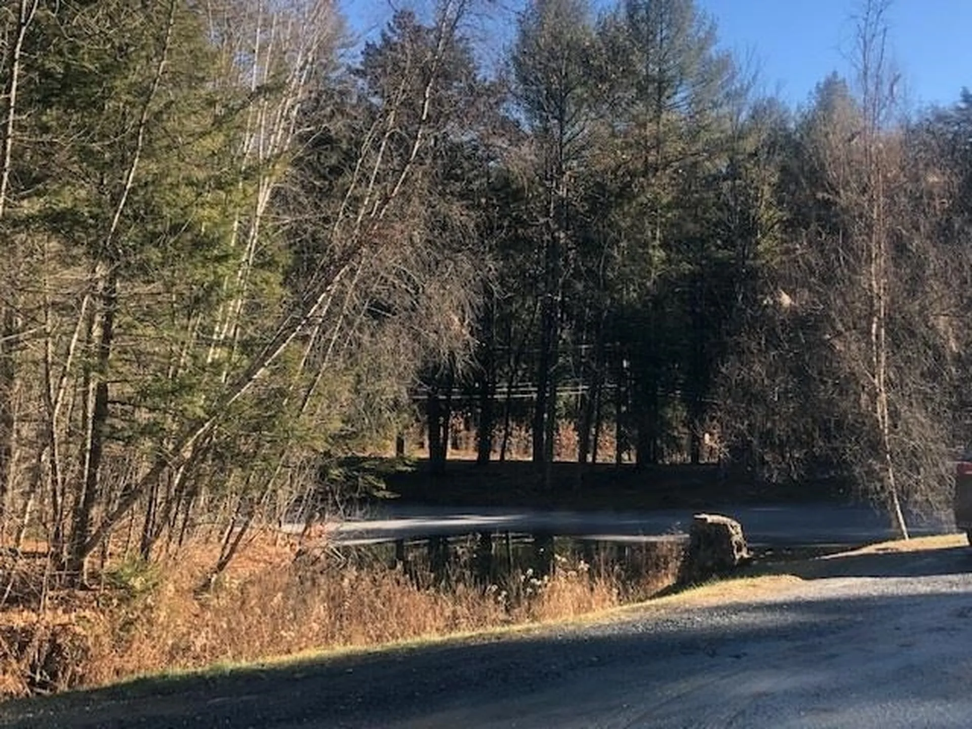 574 Willard Road Hartford VT 05059