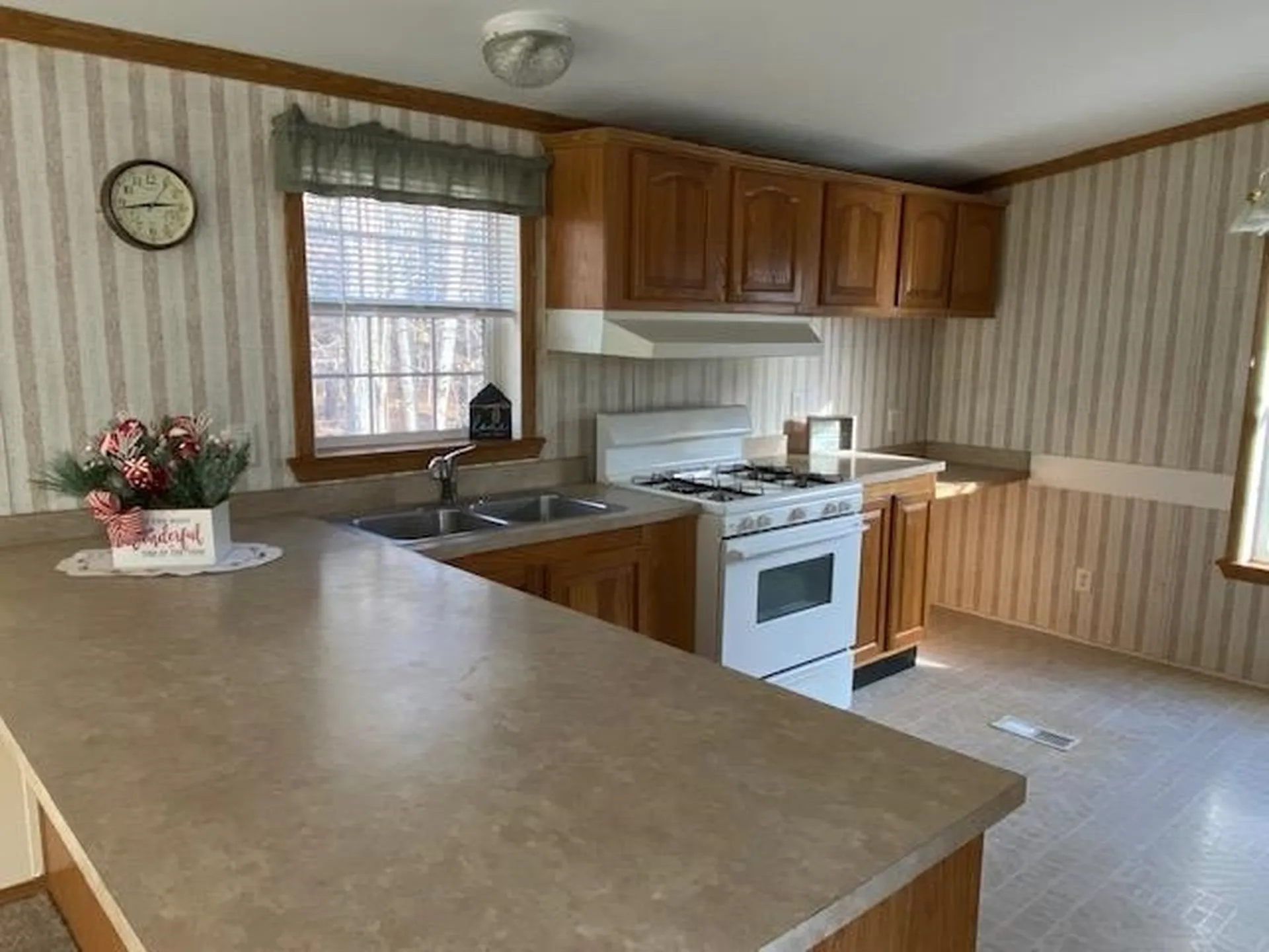 161 Wildwood Drive Pittsfield NH 03263