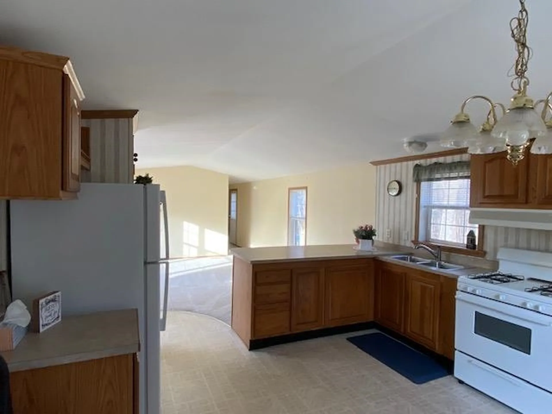161 Wildwood Drive Pittsfield NH 03263