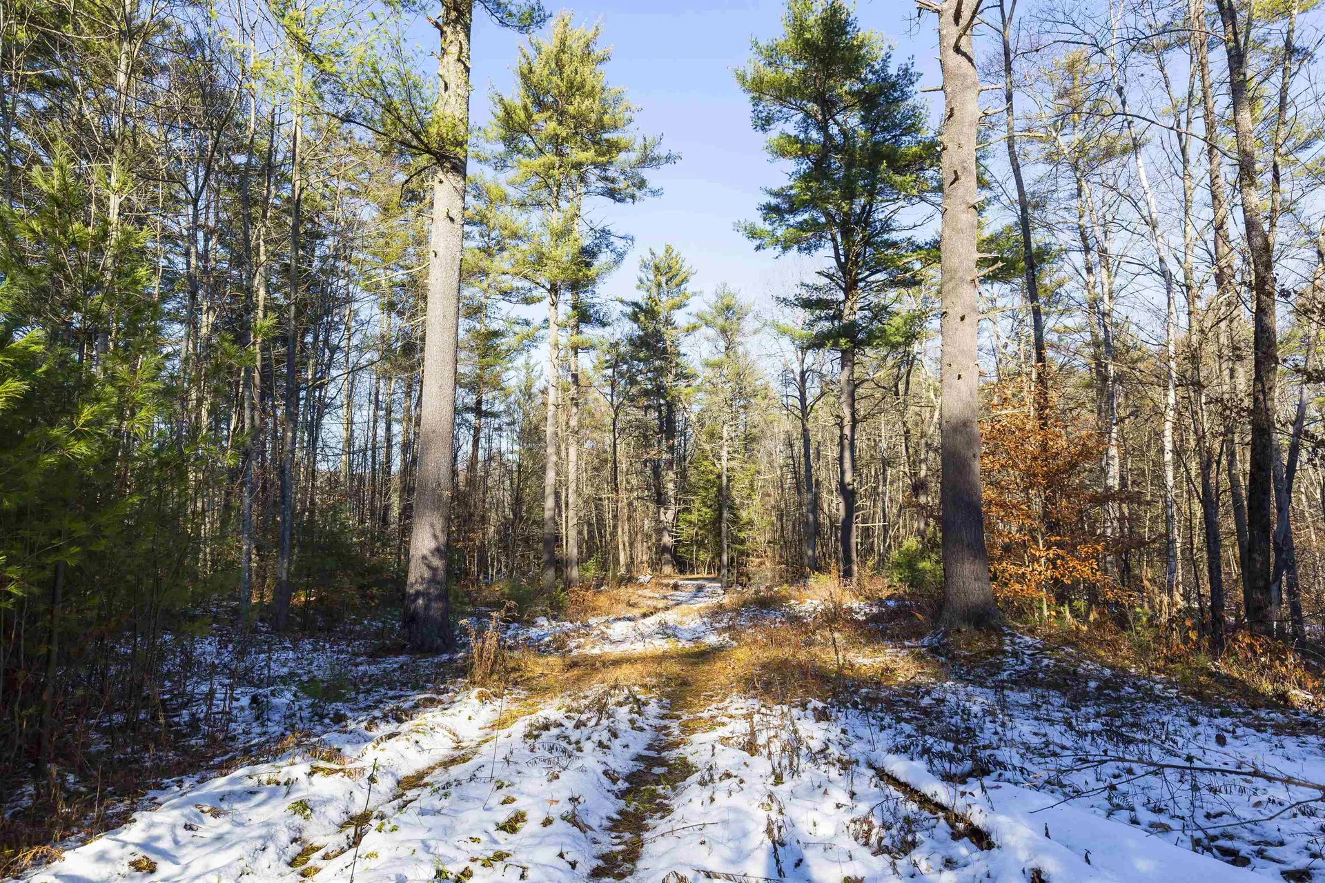 755 Burnham Road Thetford VT 05043