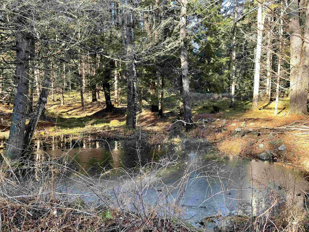 0 Waits River Road Bradford VT 05033
