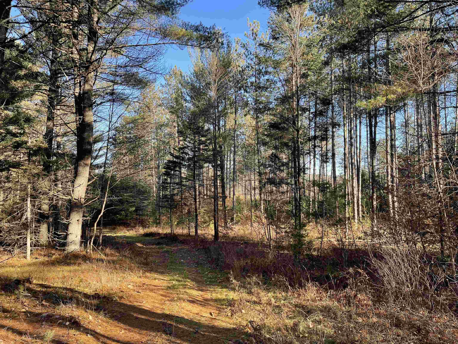 0 Waits River Road Bradford VT 05033