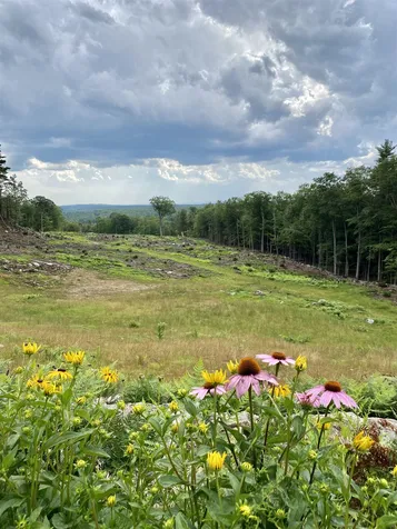 4 Carpenter Road Barnstead NH 03218