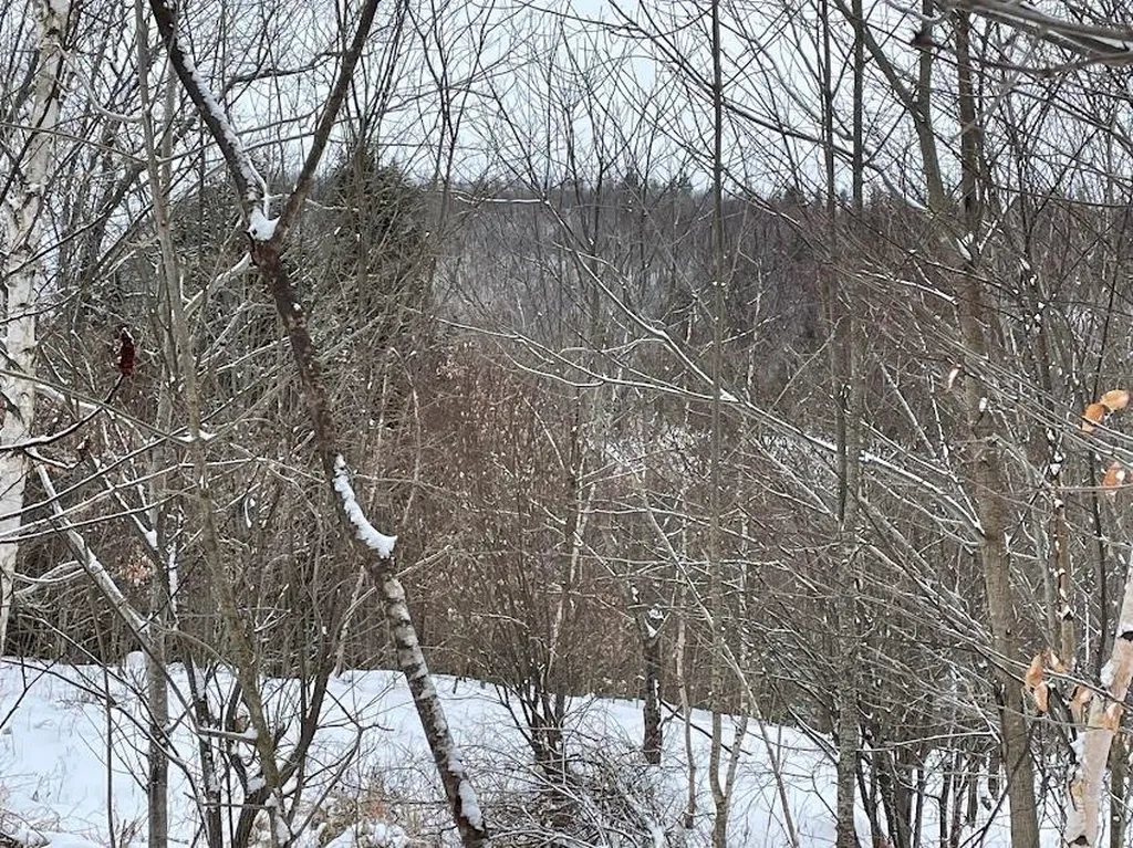 Lot 22 Haverel Lane Haverhill NH 03765