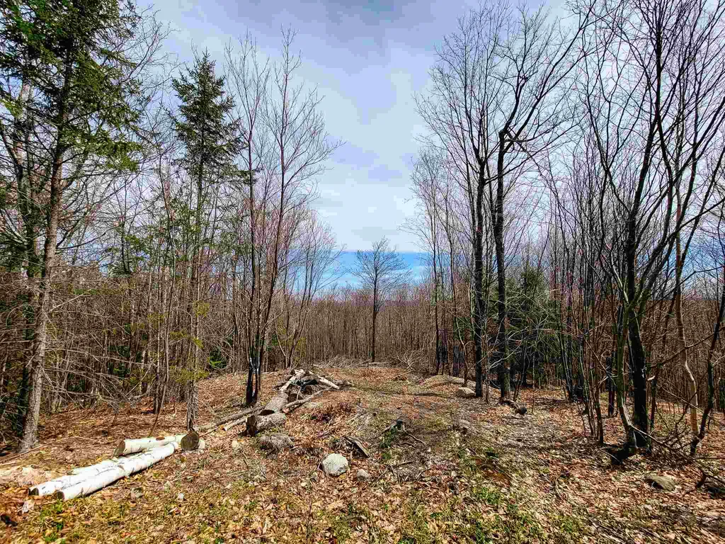 7599 Scott Highway Groton VT 05046