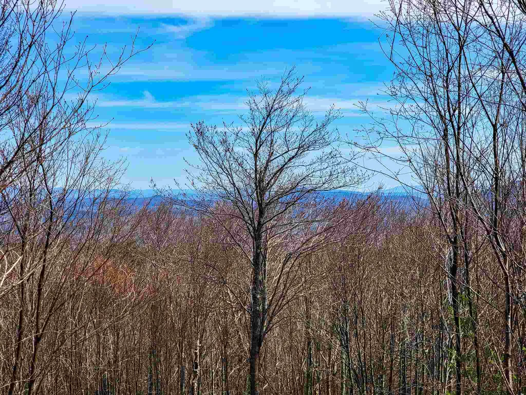 7599 Scott Highway Groton VT 05046