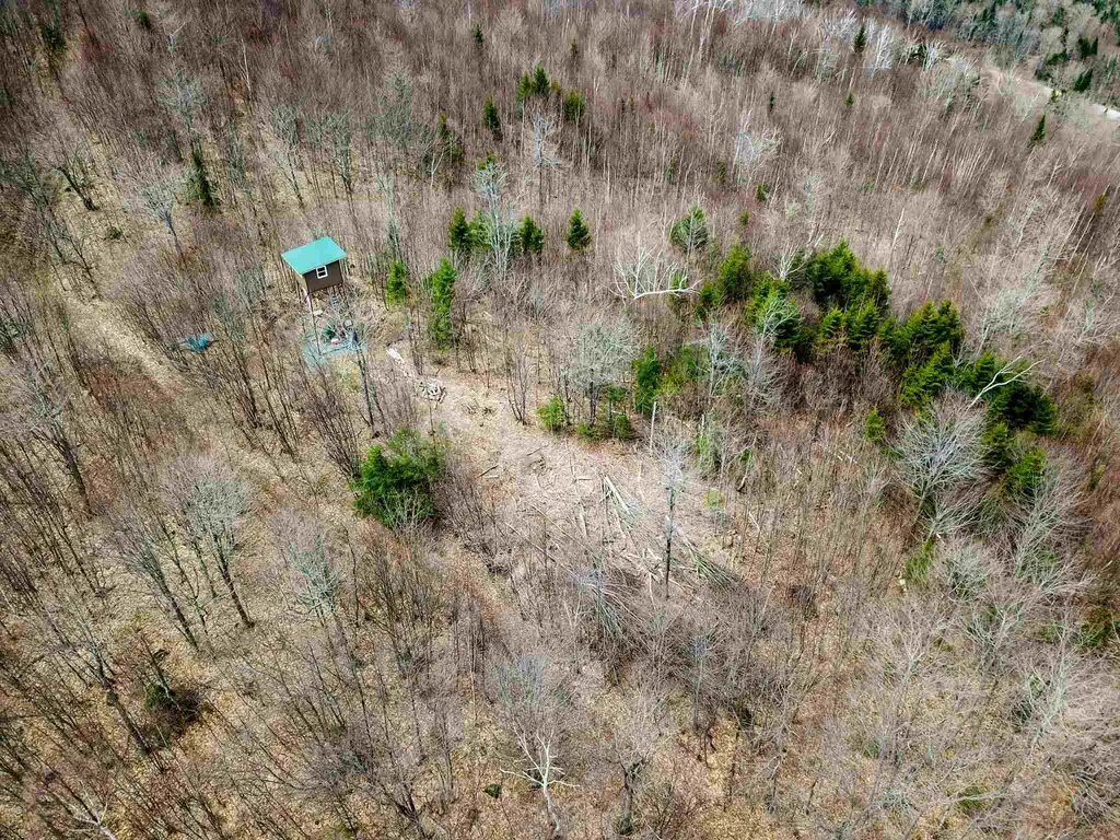 7599 Scott Highway Groton VT 05046