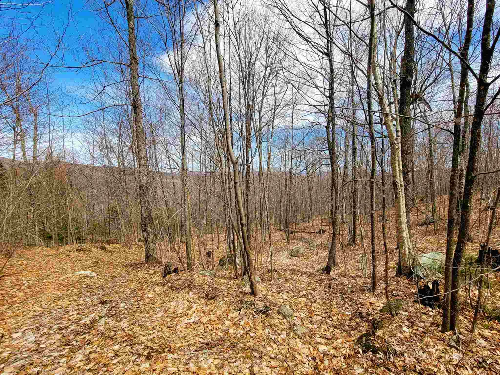 7599 Scott Highway Groton VT 05046