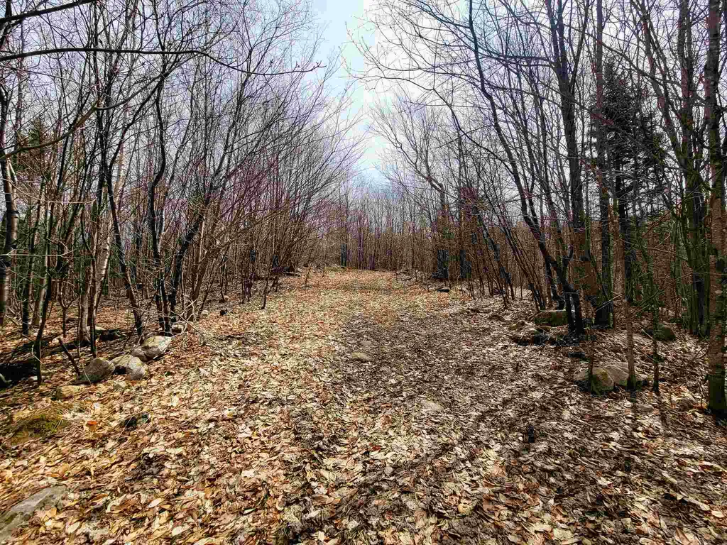 7599 Scott Highway Groton VT 05046