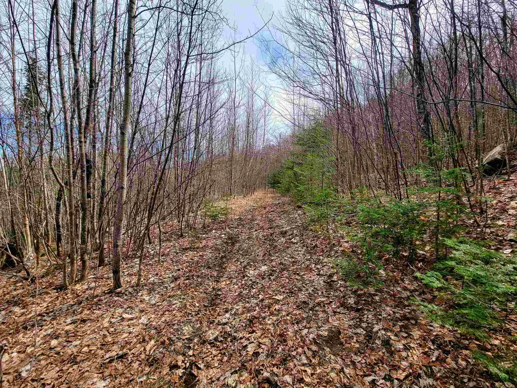 7599 Scott Highway Groton VT 05046